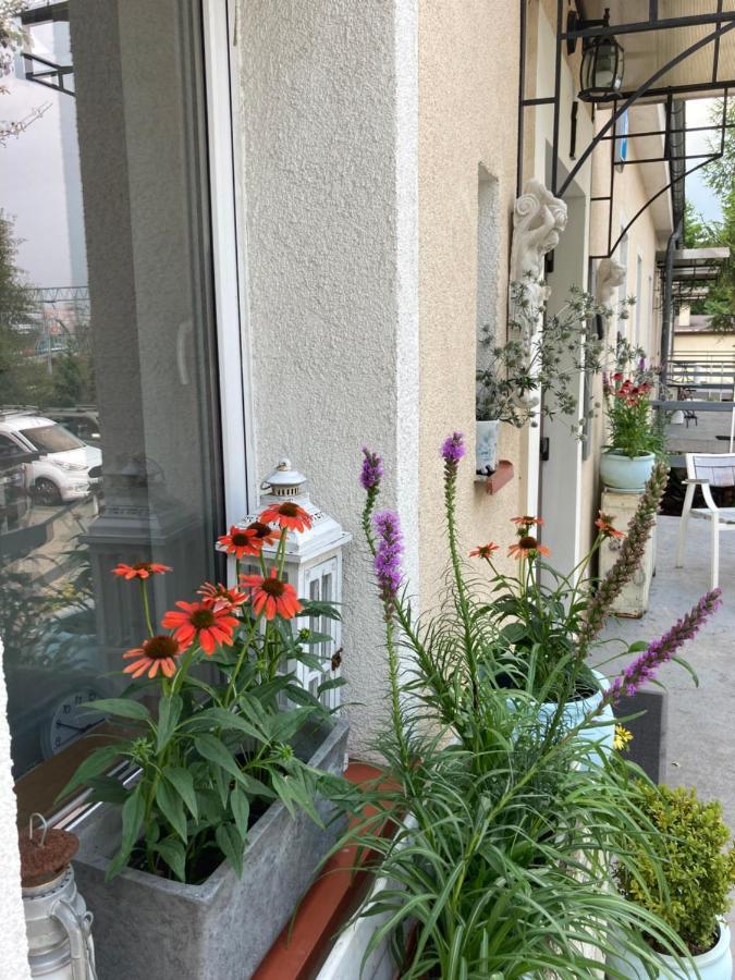 Villa Italiana Pokoje Z Prywatnymi Lazienkami & Odnowa Biologiczna 그디니아 외부 사진